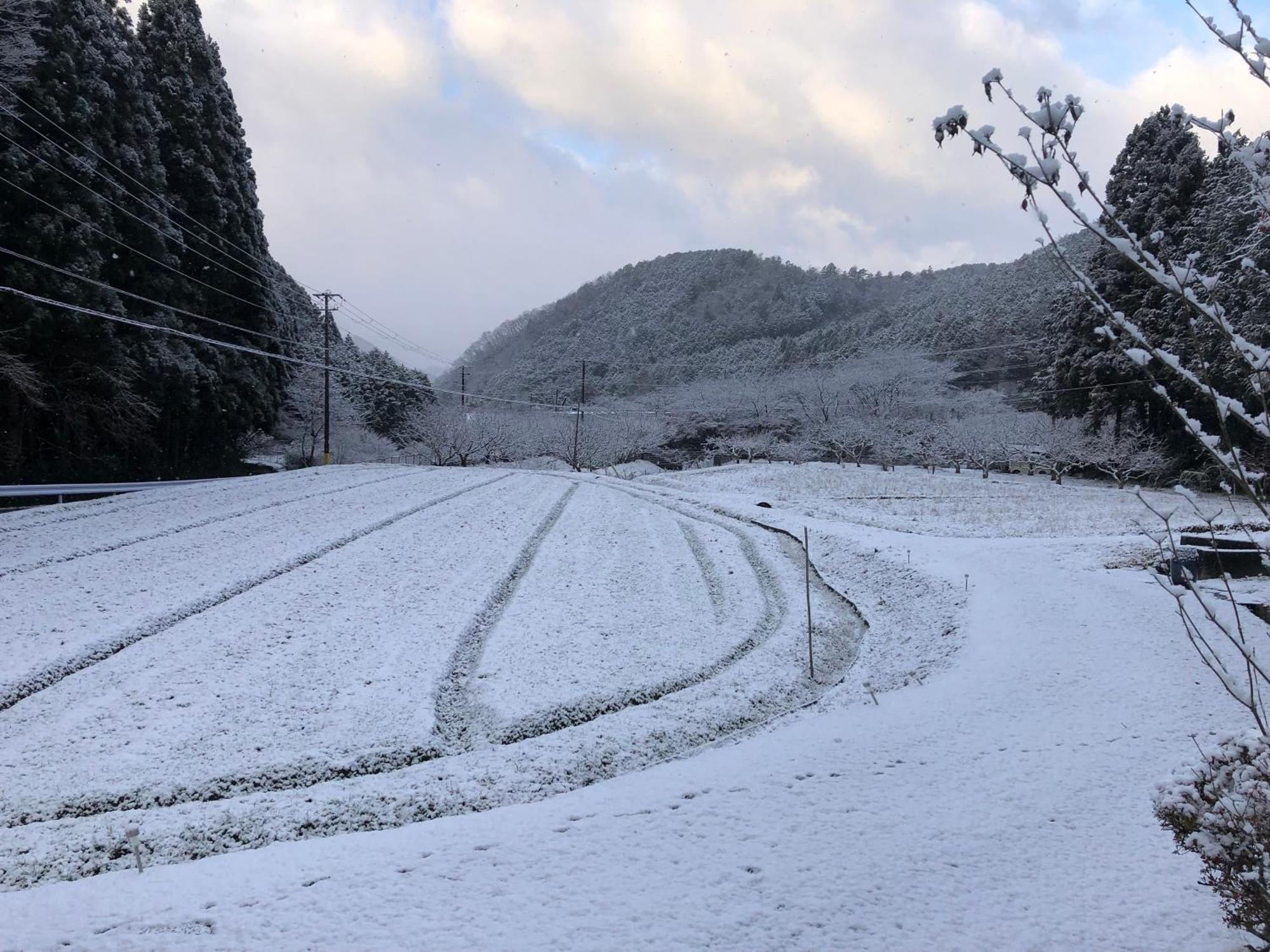 Satoyama Hotel Kanenone Tamba Maibara Buitenkant foto