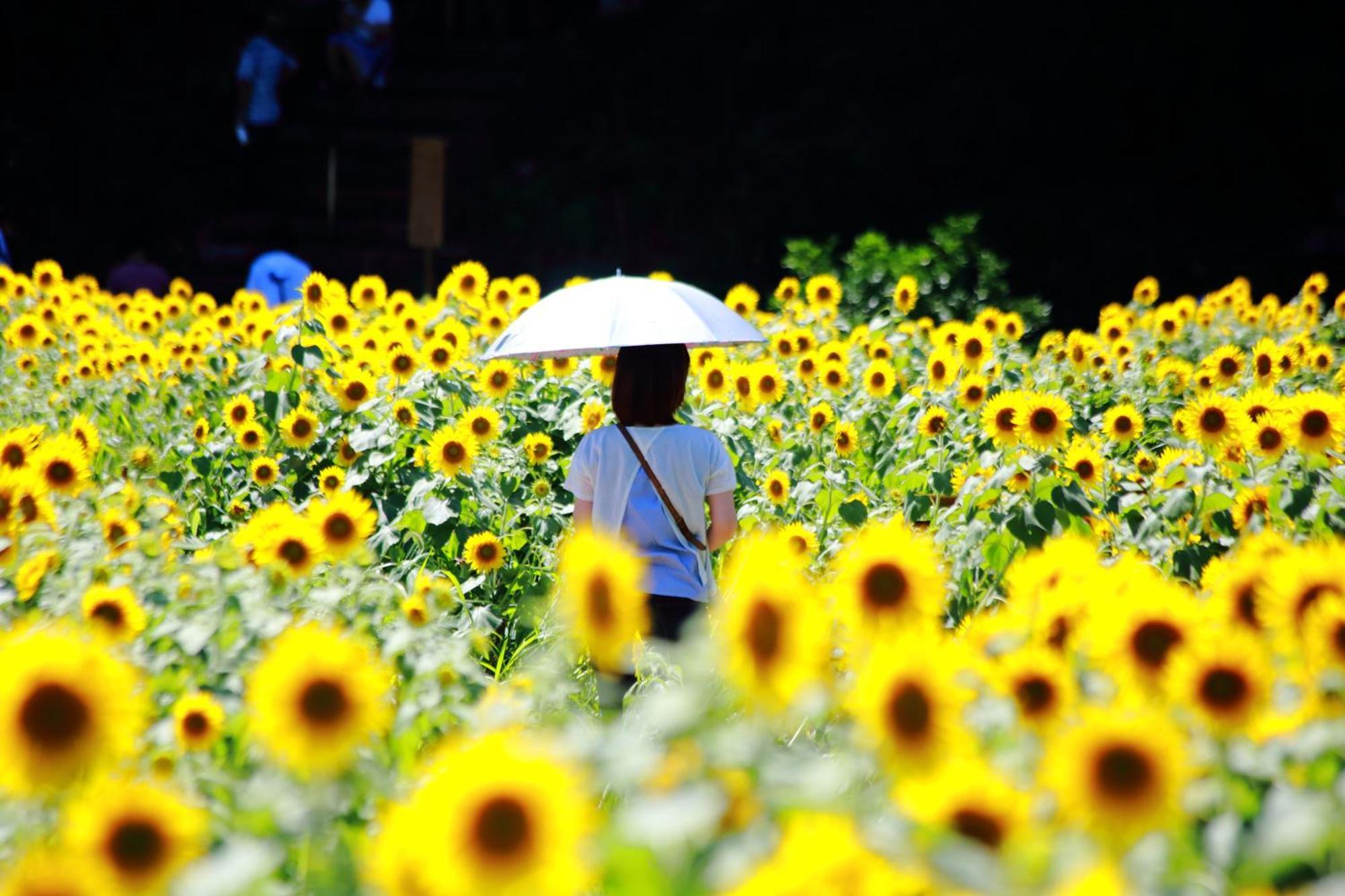 Satoyama Hotel Kanenone Tamba Maibara Buitenkant foto