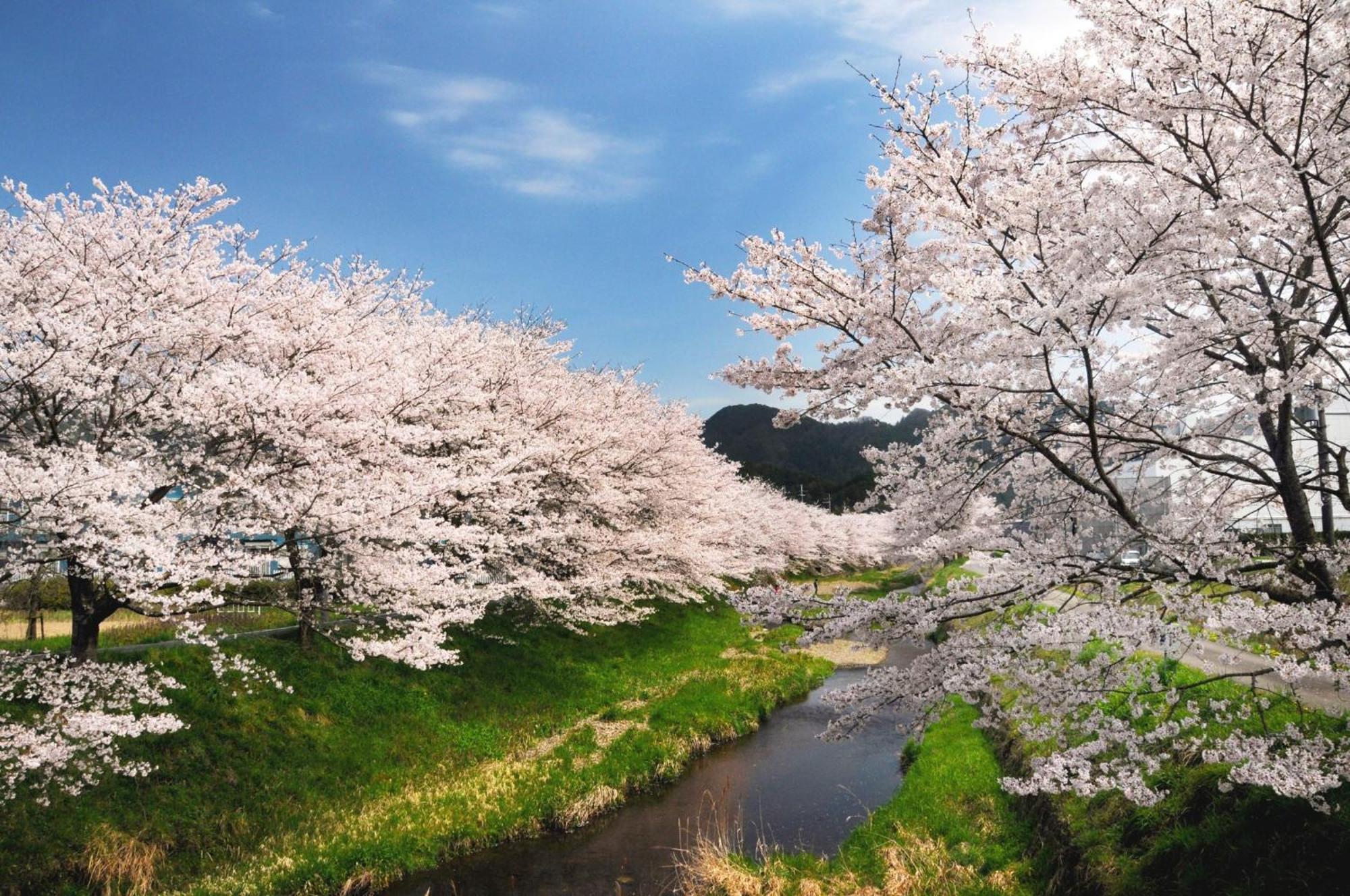 Satoyama Hotel Kanenone Tamba Maibara Buitenkant foto
