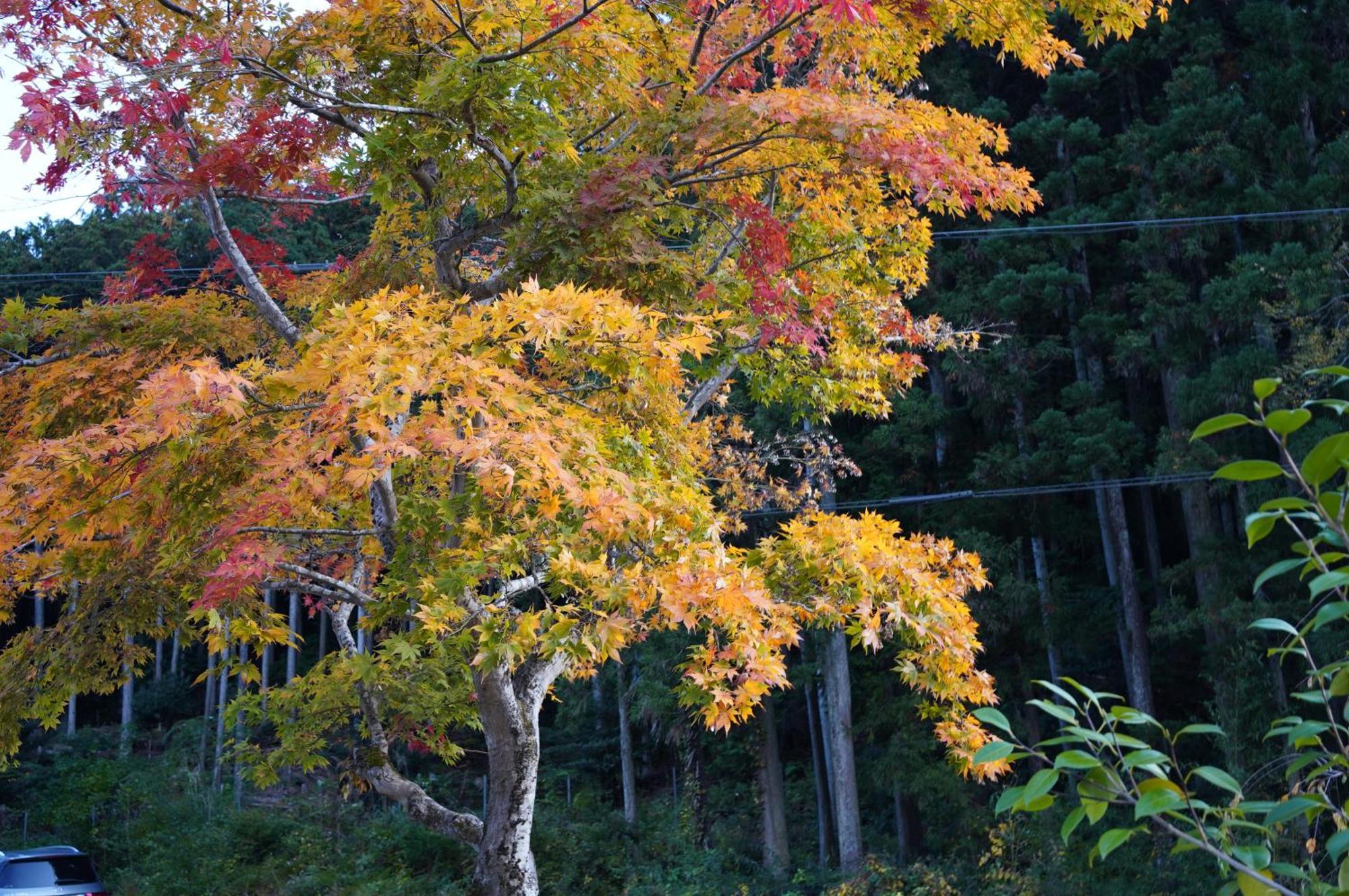 Satoyama Hotel Kanenone Tamba Maibara Buitenkant foto