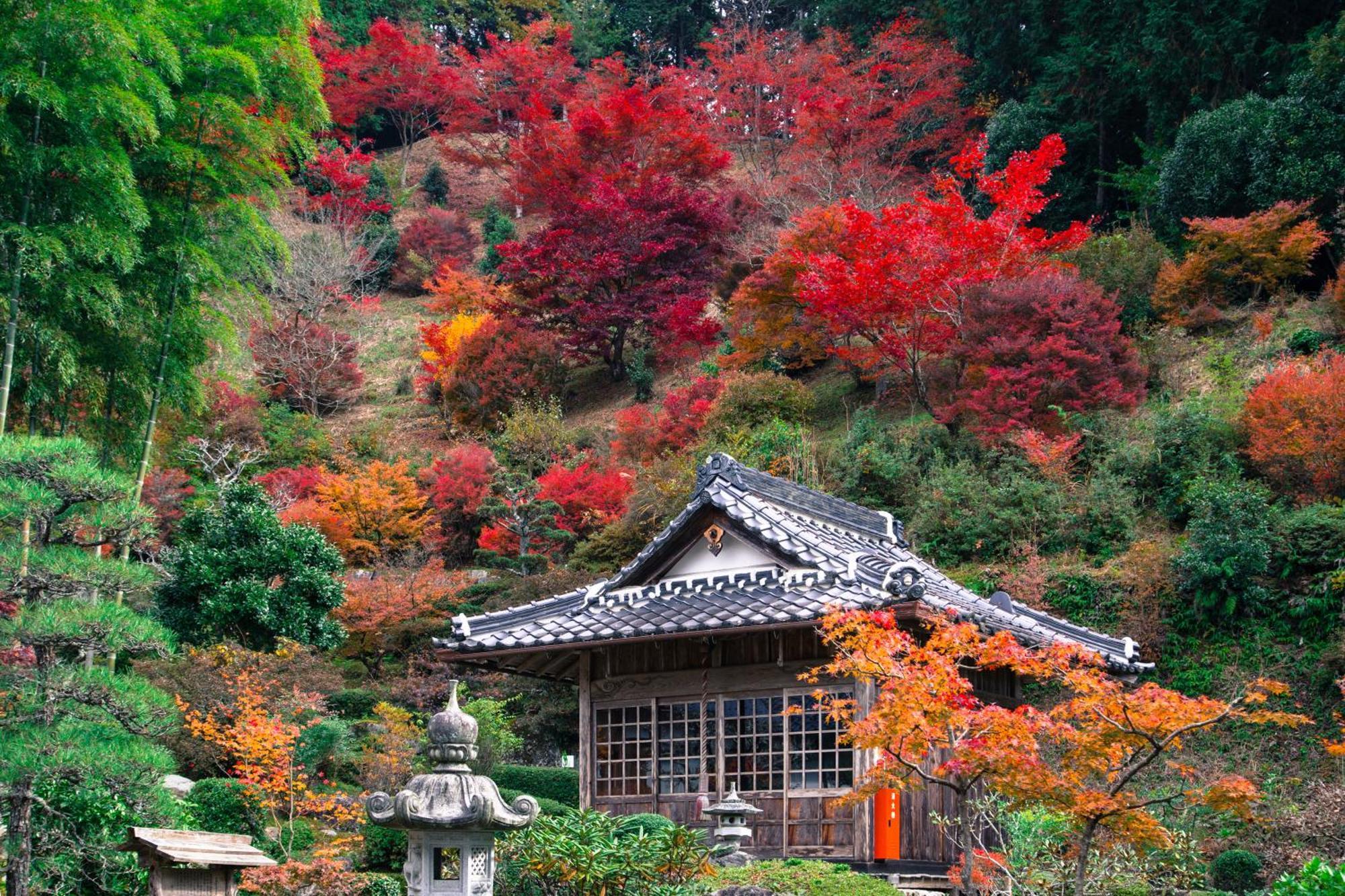 Satoyama Hotel Kanenone Tamba Maibara Buitenkant foto