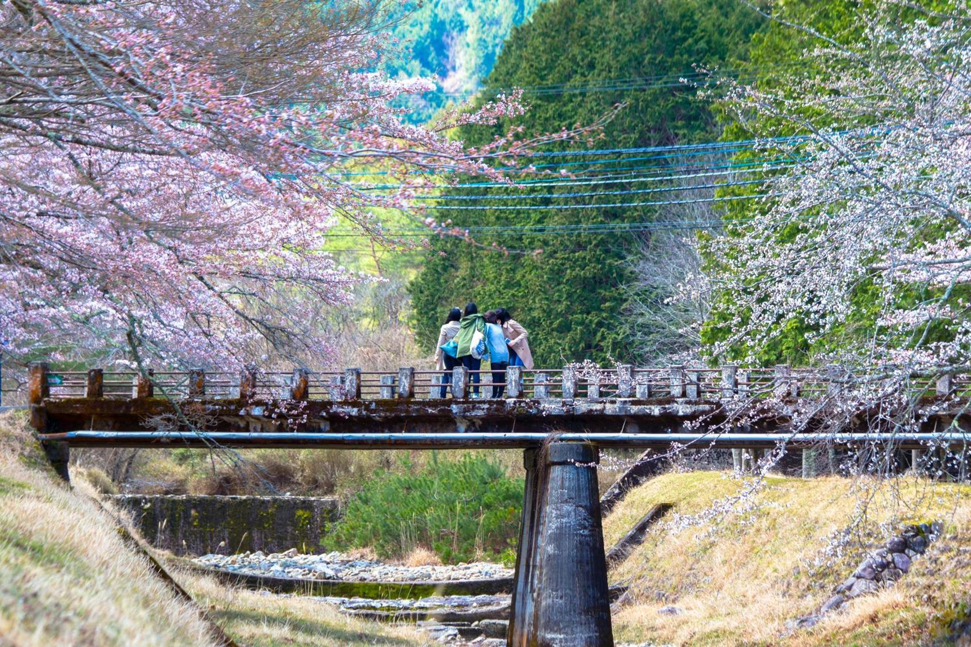 Satoyama Hotel Kanenone Tamba Maibara Buitenkant foto