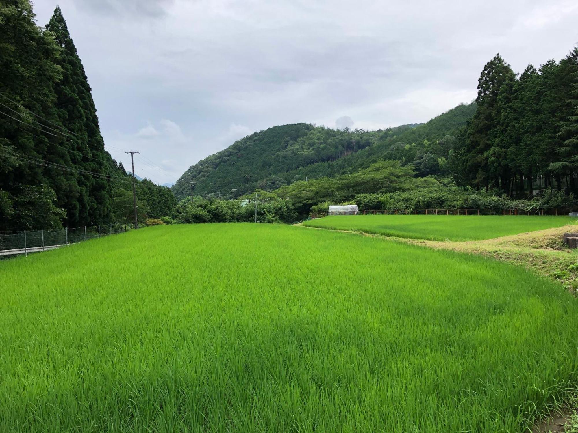 Satoyama Hotel Kanenone Tamba Maibara Buitenkant foto