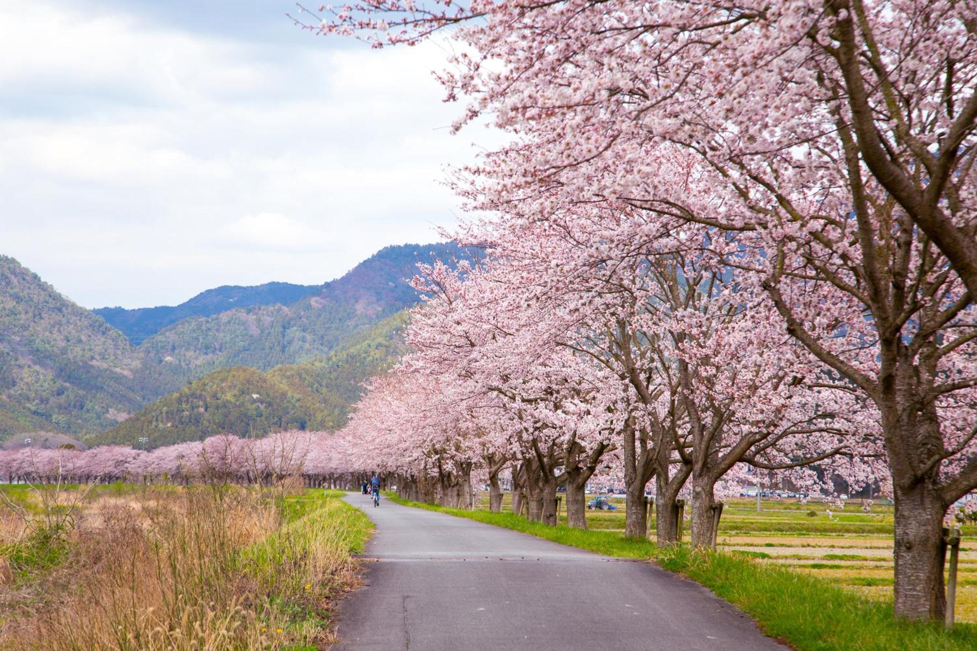 Satoyama Hotel Kanenone Tamba Maibara Buitenkant foto