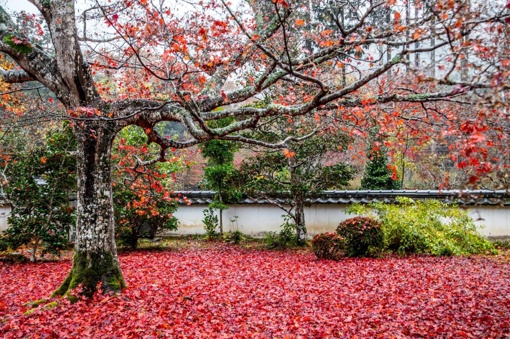 Satoyama Hotel Kanenone Tamba Maibara Buitenkant foto